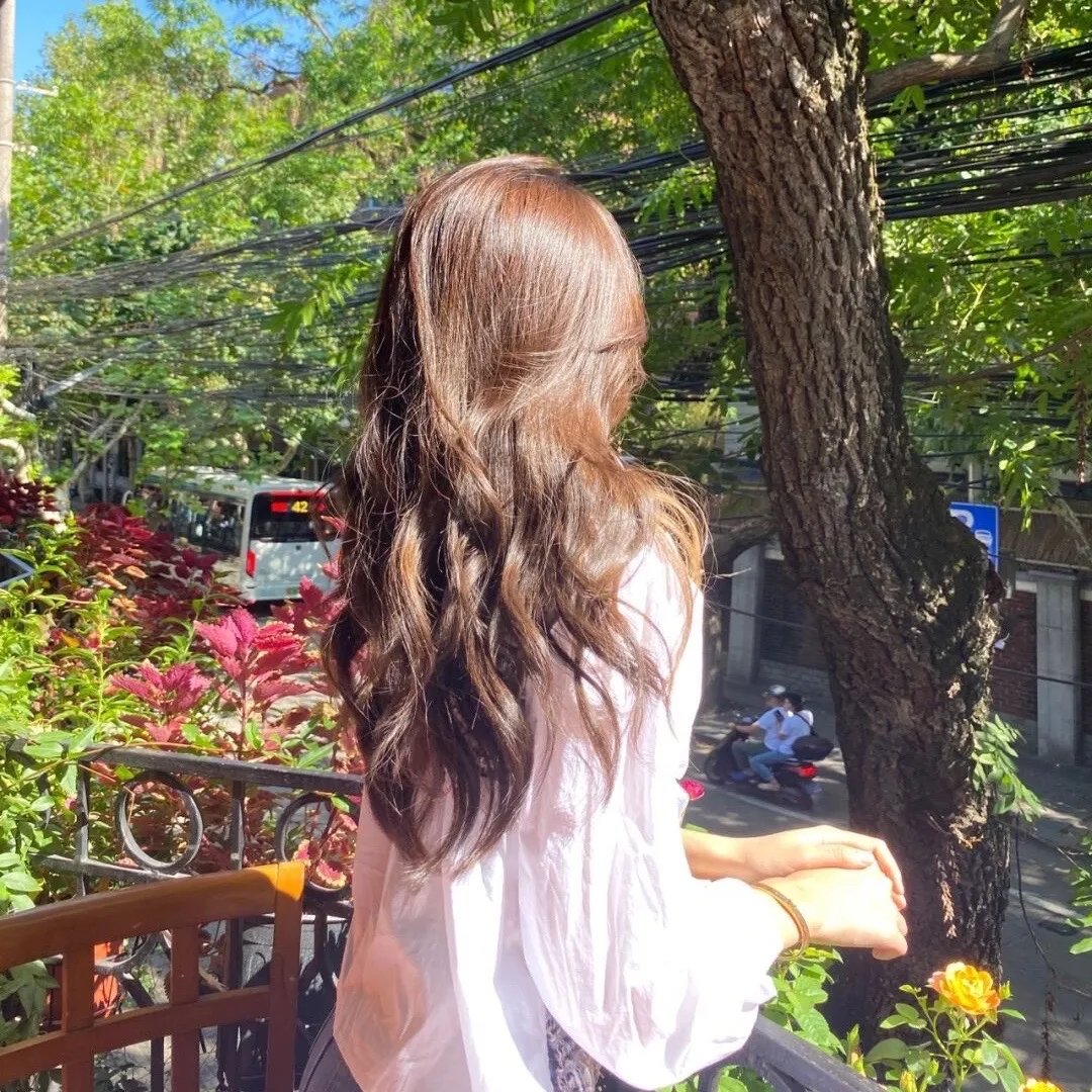 南拳蔡李佛国语